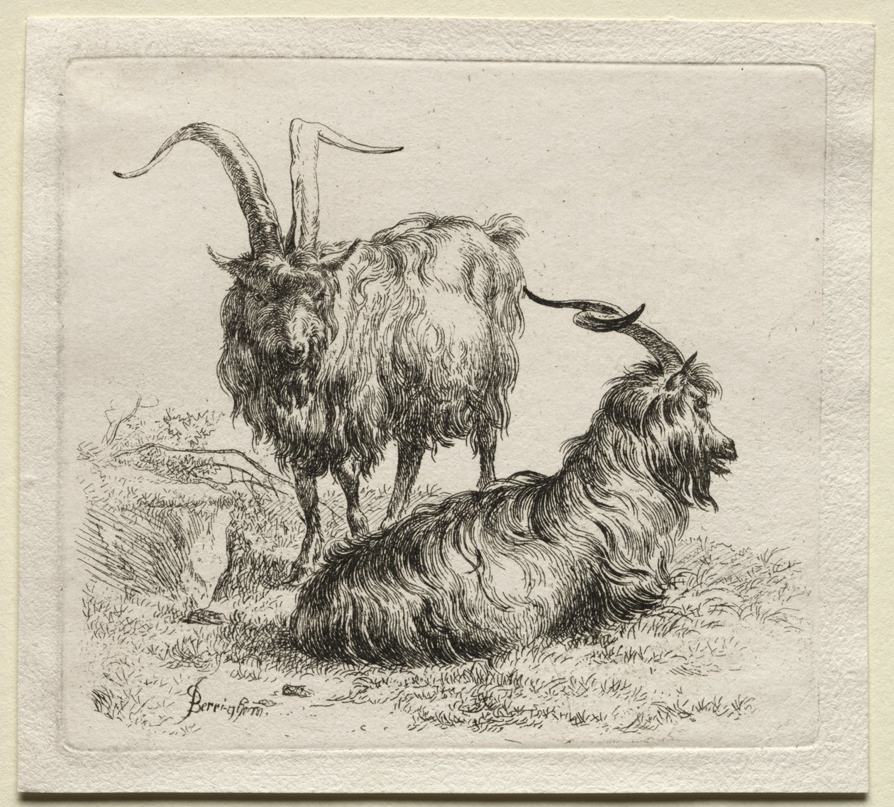 İki Keçi. by Nicolaes Pietersz. Berchem