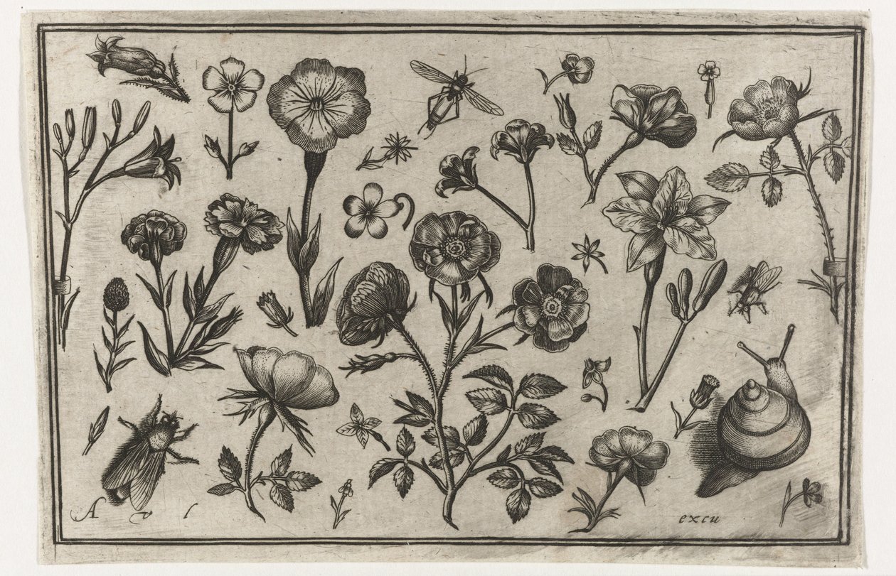 Çiçekler, bir sinek ve bir salyangoz Kuşlar, çiçekler, böcekler vs. (dizi adı) by Nicolaes de Bruyn (possibly)
