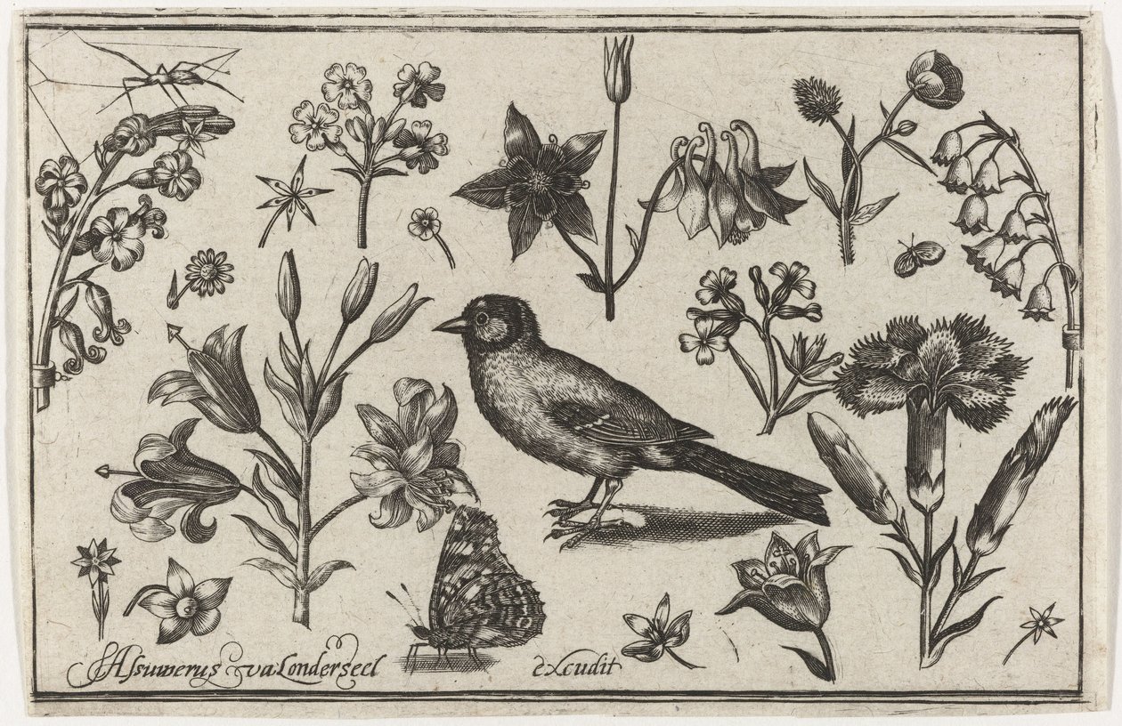 Çiçekler, kelebek ve kuş Kuşlar, çiçekler, böcekler vs. (dizi adı) by Nicolaes de Bruyn (possibly)