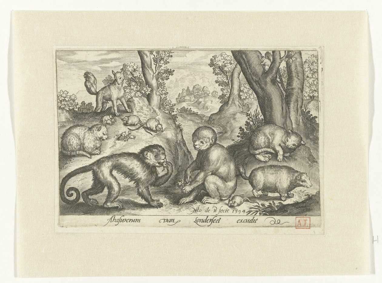 Maymunlar, kediler ve fareler Animalivm qvadrvpedvm (dizi başlığı) Manzaralardaki hayvanlar (dizi başlığı) by Nicolaes de Bruyn