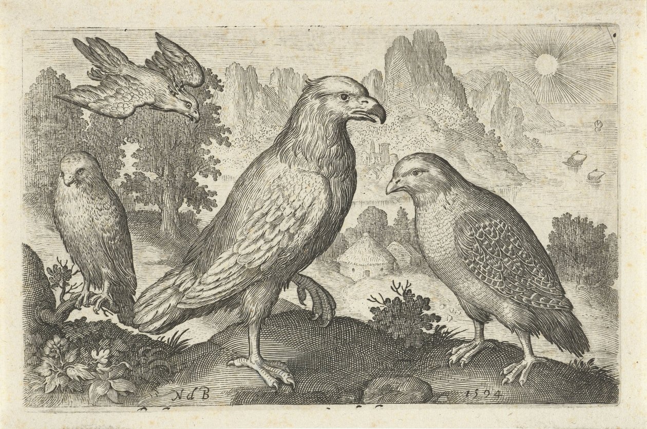Kartal ve diğer yırtıcı kuşlar Kuşlar ve böcekler (dizi adı) by Nicolaes de Bruyn