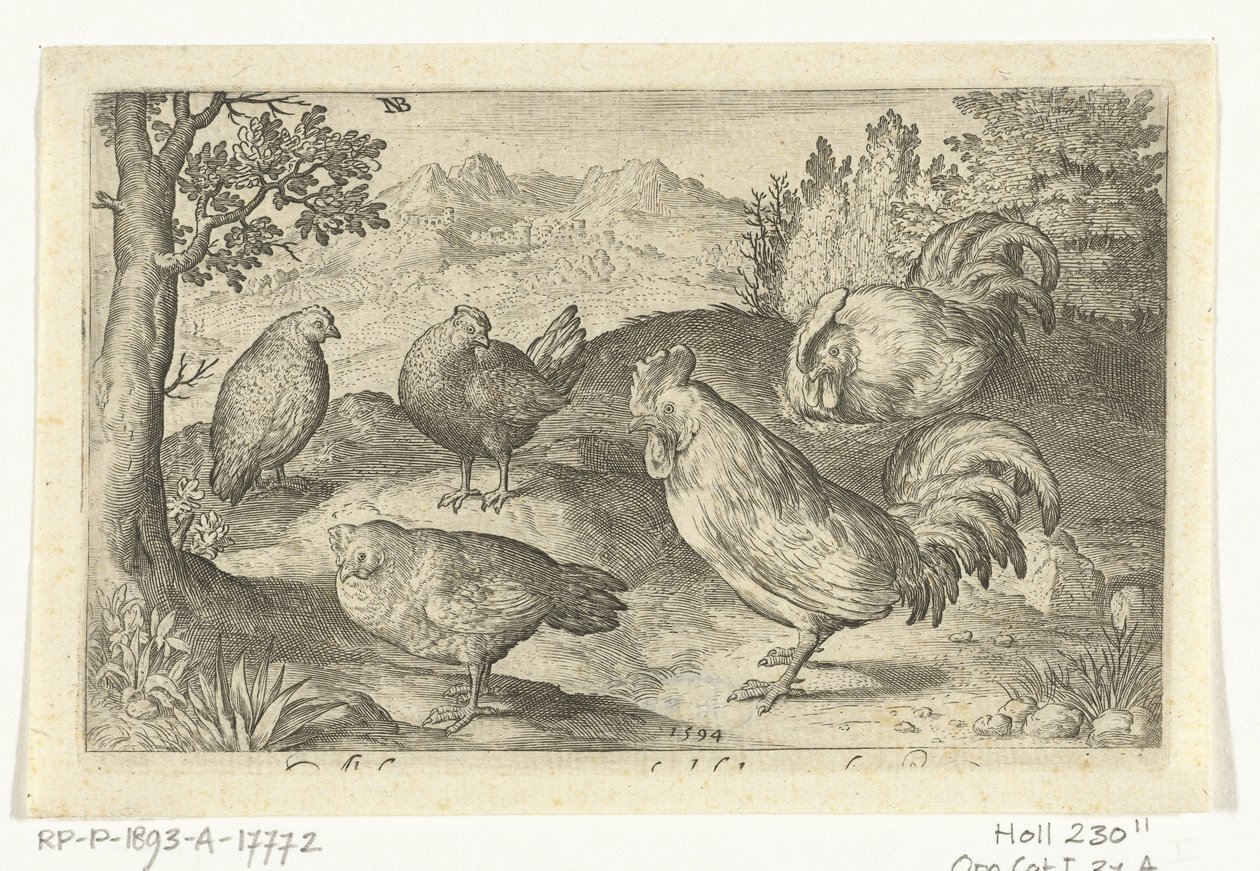 Üç tavuk ve iki horoz Kuşlar ve böcekler (dizi adı) by Nicolaes de Bruyn
