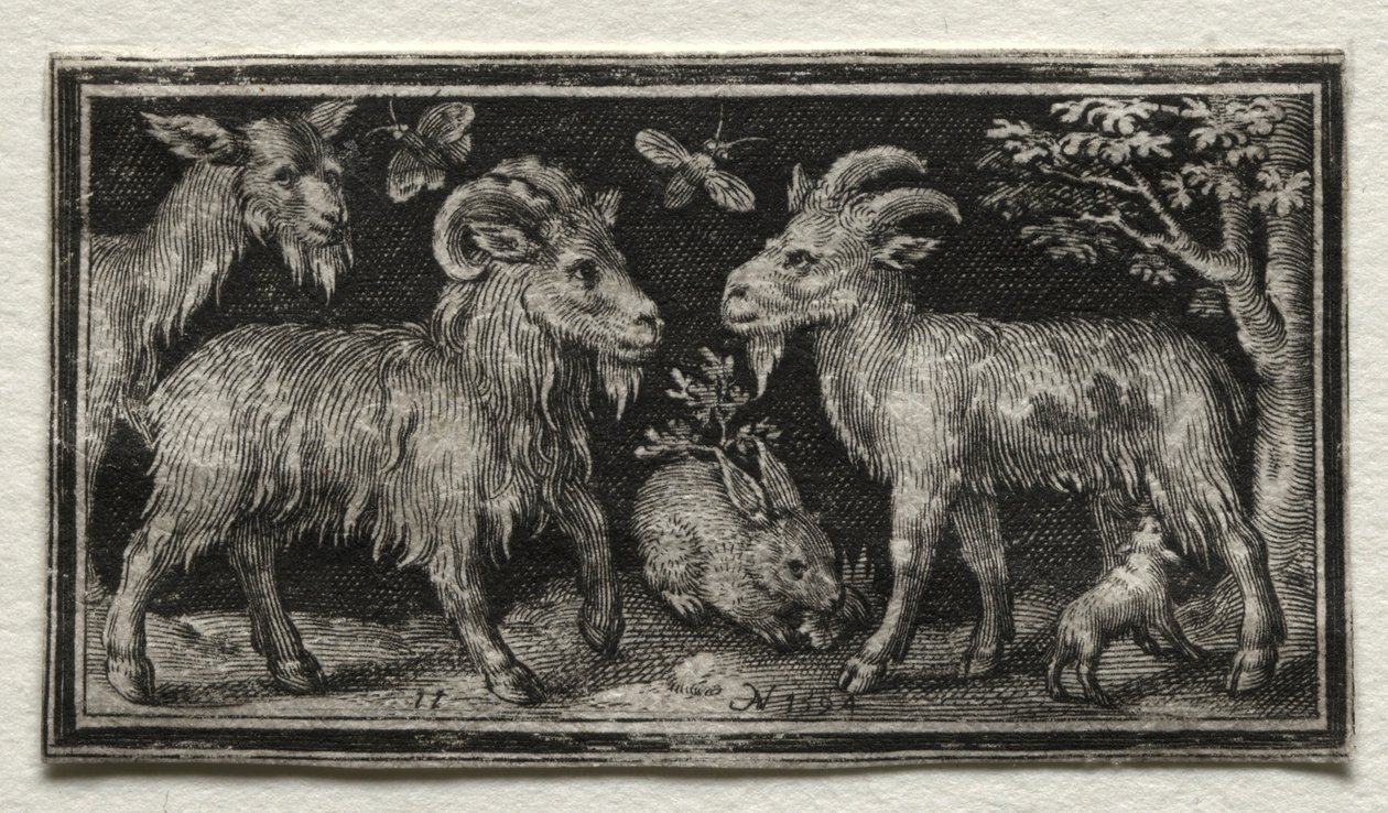 Keçiler ve Tavşan, 1594. by Nicolaes de Bruyn