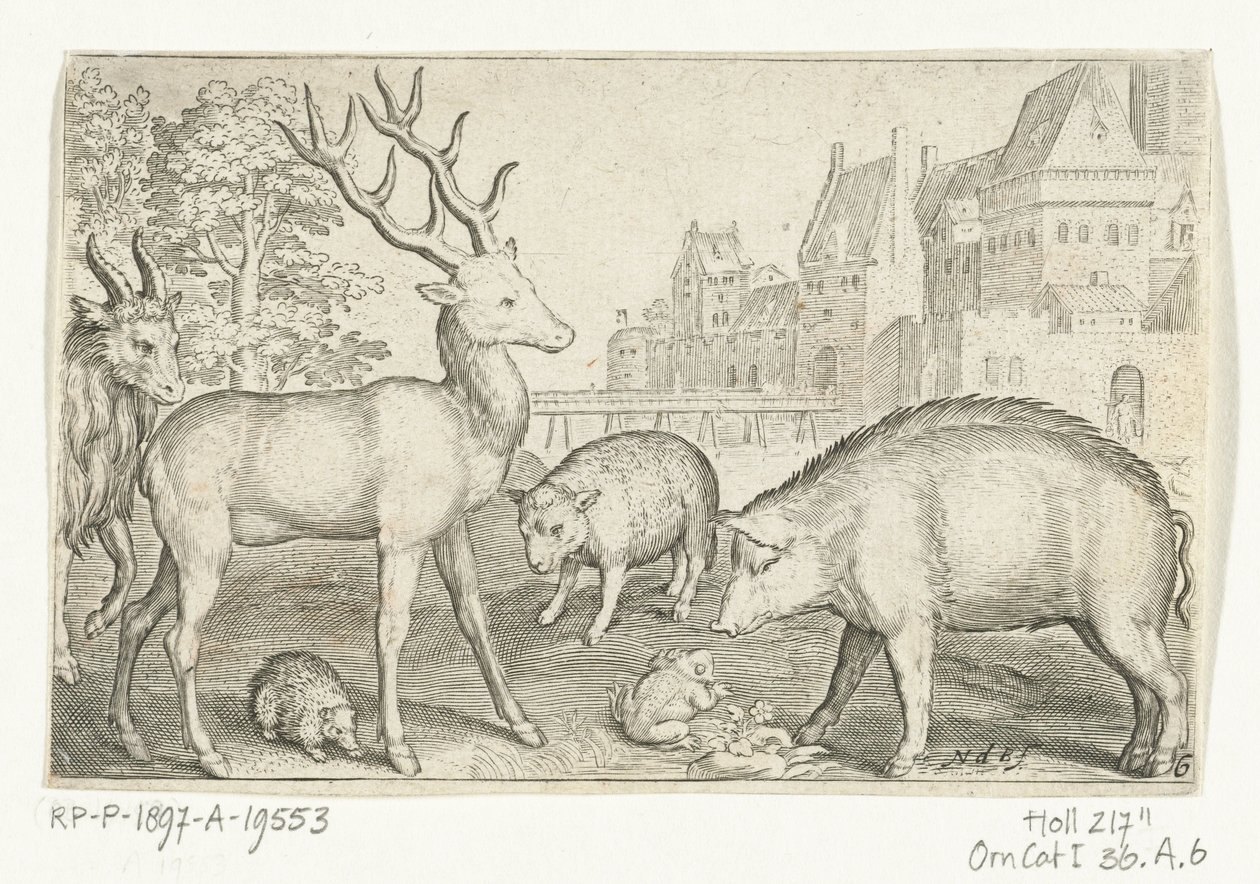 Geyik, kirpi, koyun, kurbağa ve domuz Animalivm qvadrvpedvm (dizi başlığı) Manzaralardaki hayvanlar (dizi başlığı) by Nicolaes de Bruyn