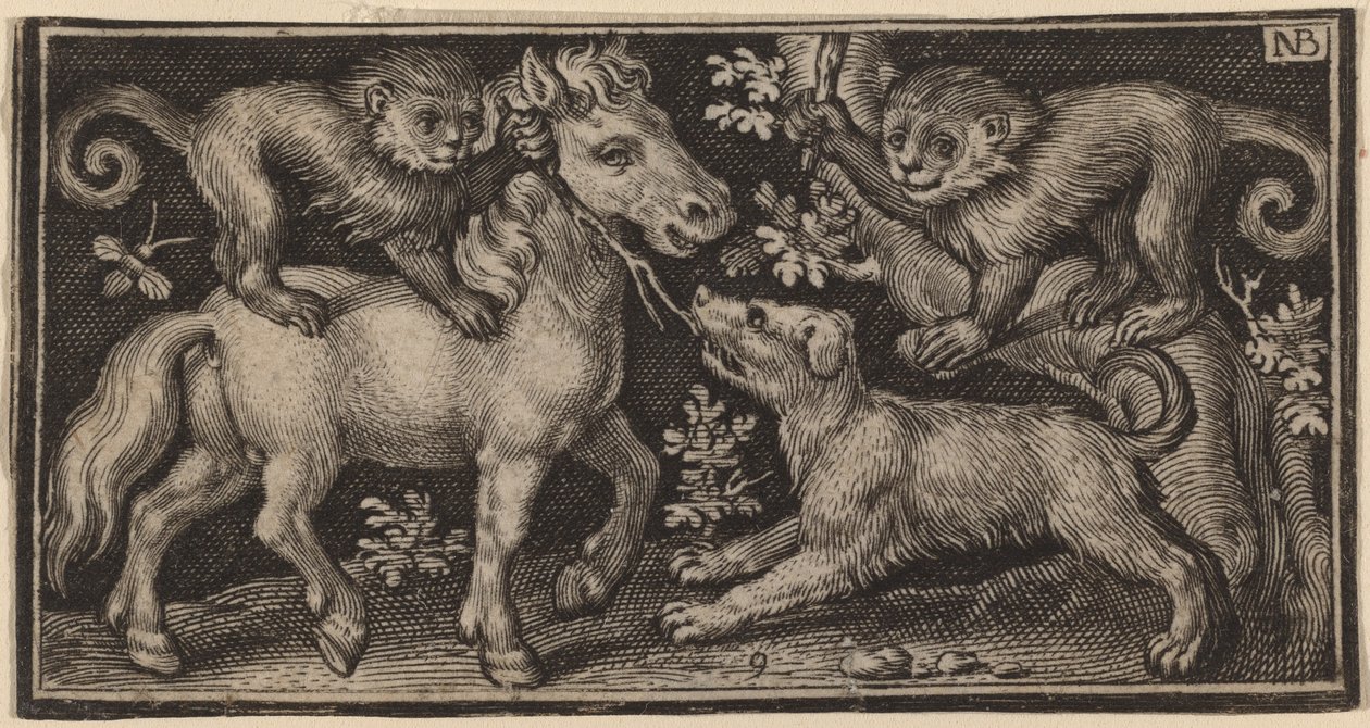 İki Maymunlu ve Köpekli At by Nicolaes de Bruyn