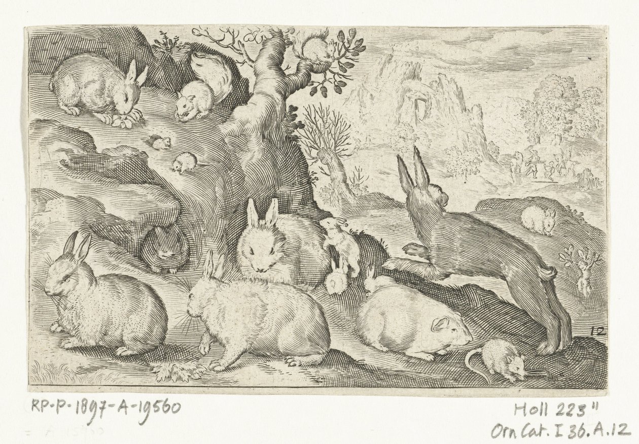 Tavşanlar, sincap, kobay ve fare Animalivm qvadrvpedvm (dizi başlığı) Manzaralardaki hayvanlar (dizi başlığı) by Nicolaes de Bruyn