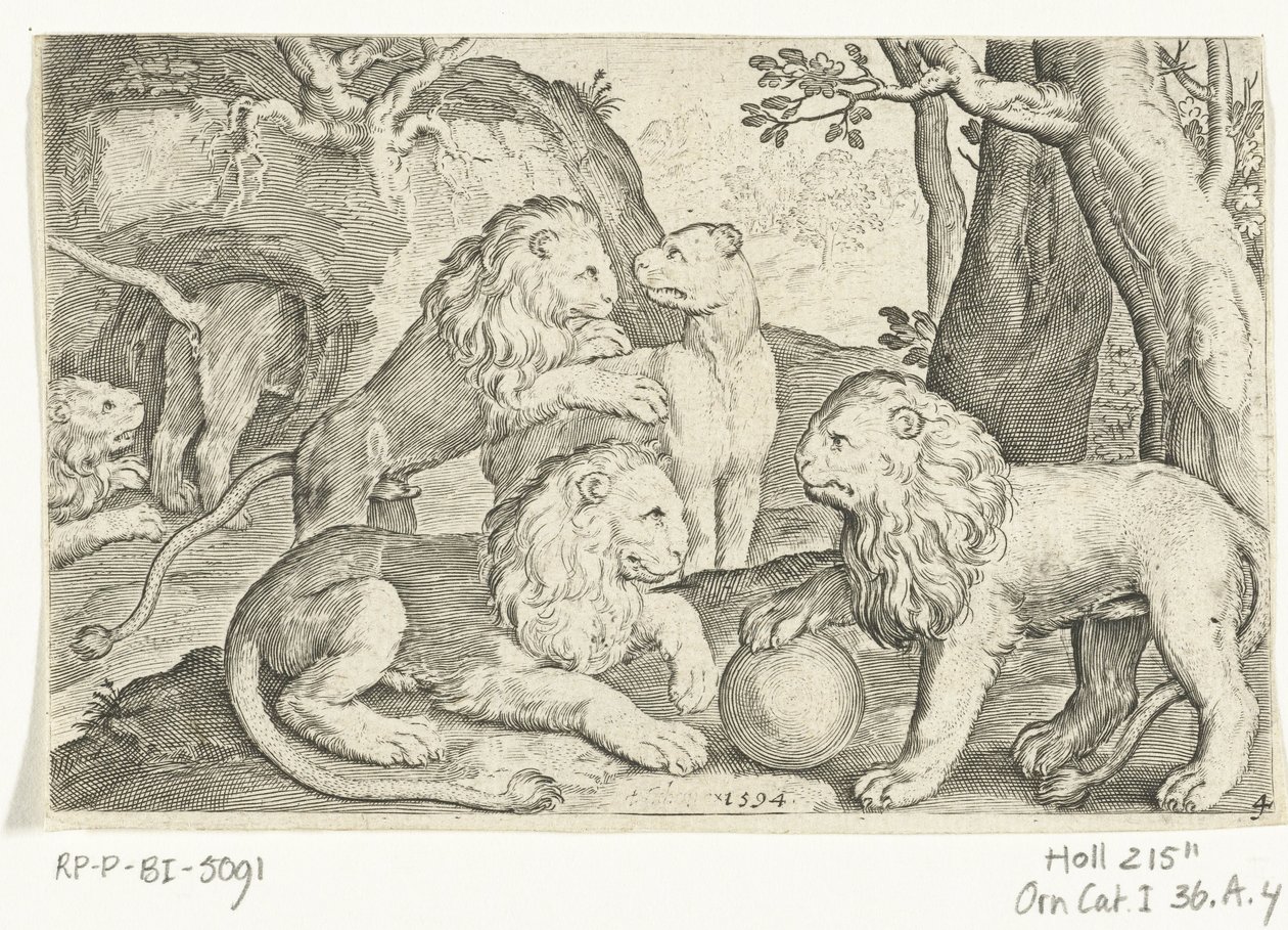 aslanlar Animalivm qvadrvpedvm (dizi başlığı) Manzaralardaki hayvanlar (dizi başlığı) by Nicolaes de Bruyn