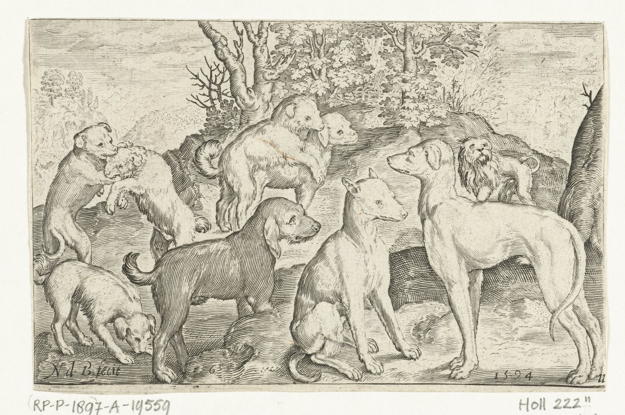 dokuz köpek Animalivm qvadrvpedvm (dizi başlığı) Manzaralardaki hayvanlar (dizi başlığı) by Nicolaes de Bruyn