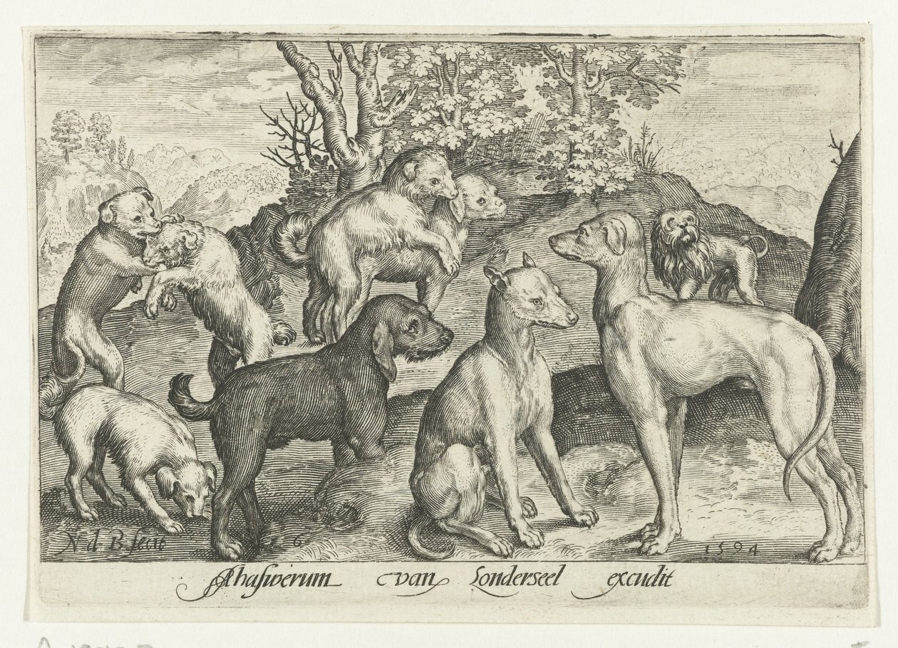 dokuz köpek Animalivm qvadrvpedvm (dizi başlığı) Manzaralardaki hayvanlar (dizi başlığı) by Nicolaes de Bruyn