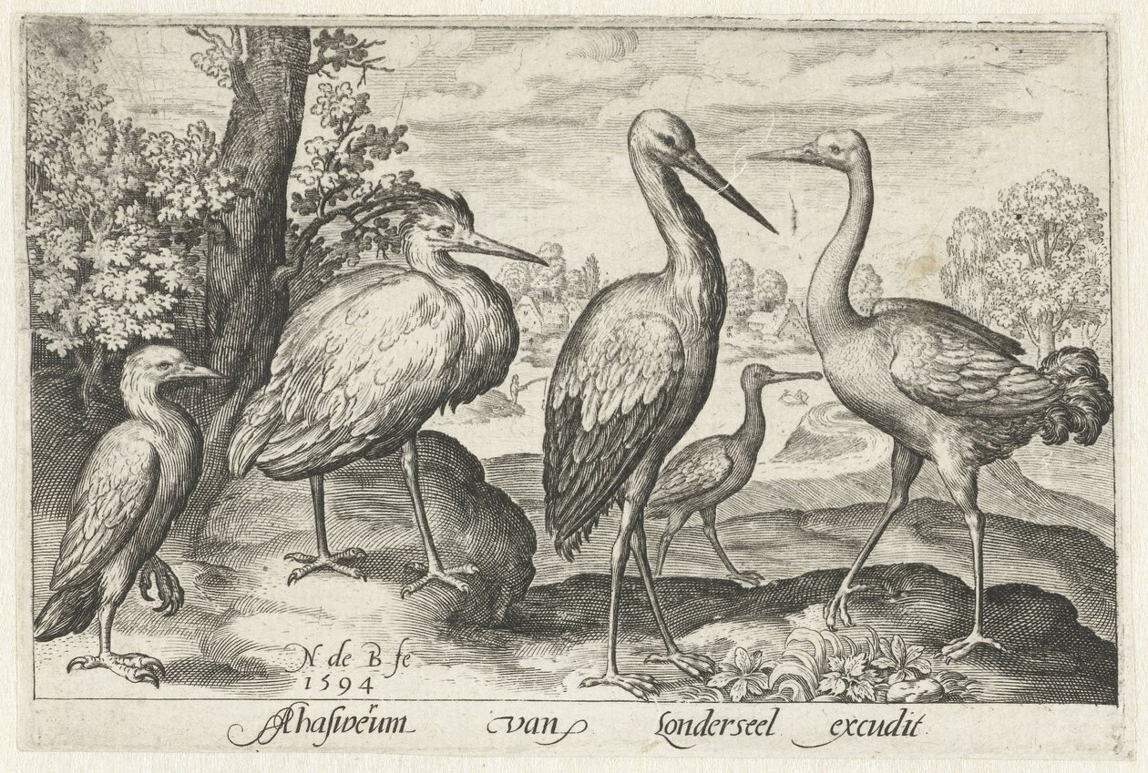 Leylek, vinç, balıkçıl ve kaşıkçı Kuşlar ve böcekler (dizi adı) by Nicolaes de Bruyn