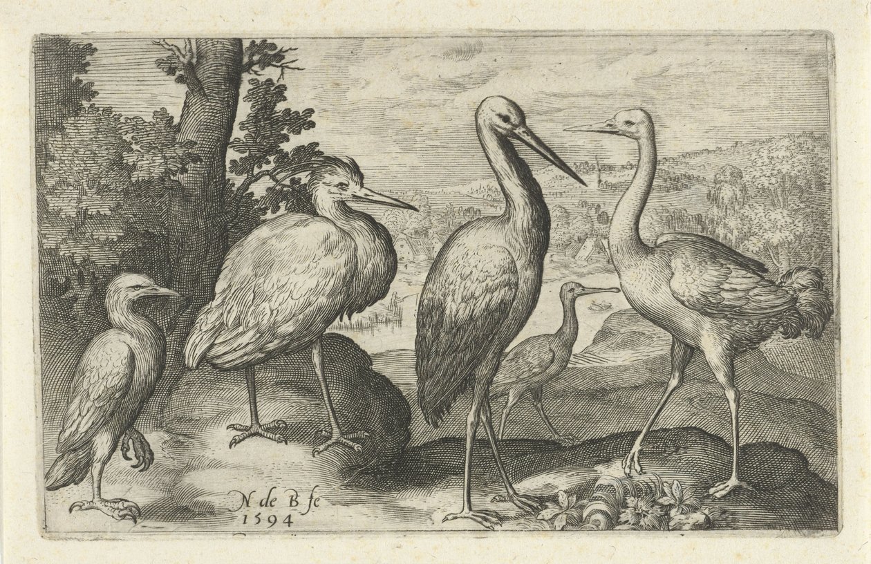 Leylek, vinç, balıkçıl ve kaşıkçı Kuşlar ve böcekler (dizi adı) by Nicolaes de Bruyn