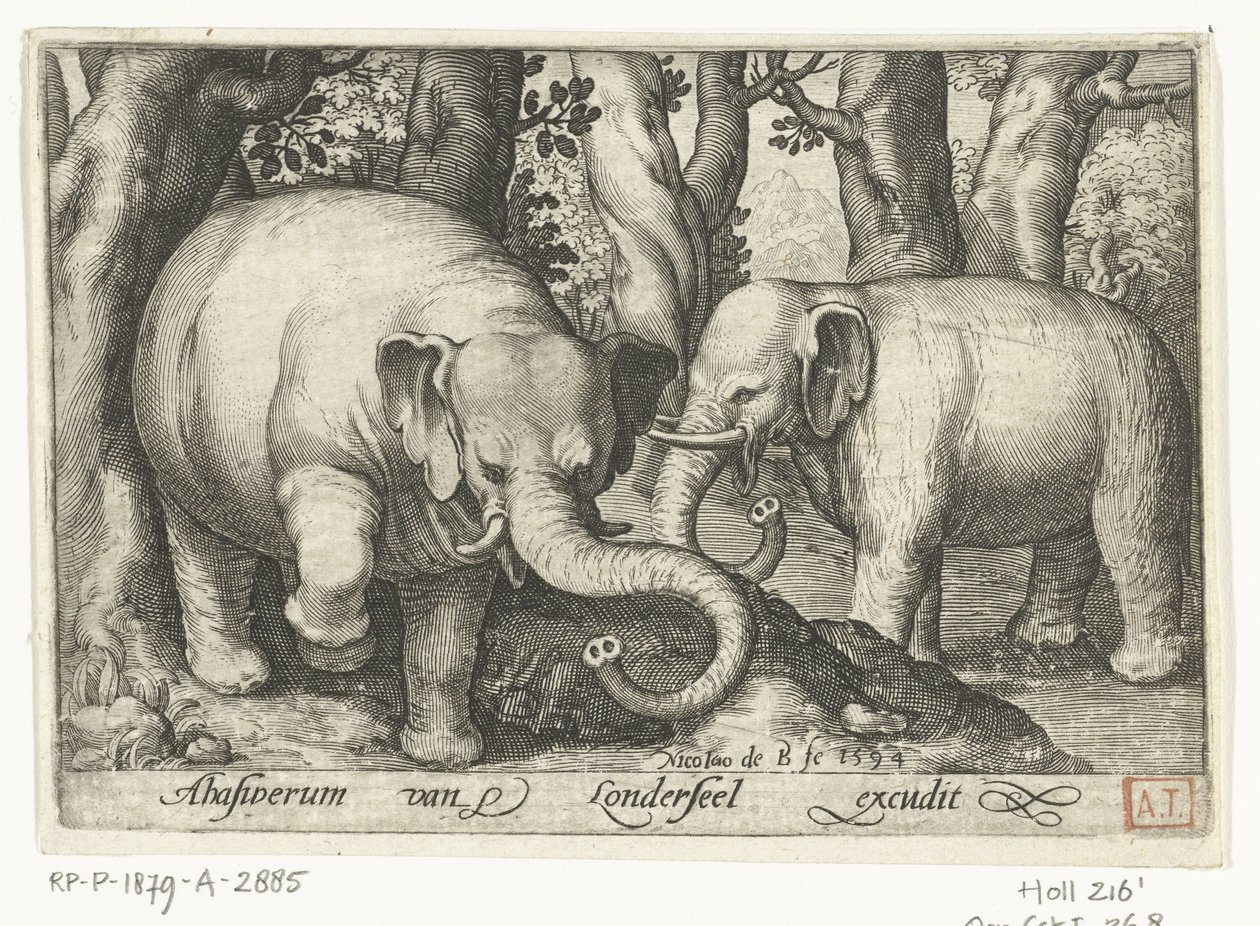 iki fil Animalivm qvadrvpedvm (dizi başlığı) Manzaralardaki hayvanlar (dizi başlığı) by Nicolaes de Bruyn