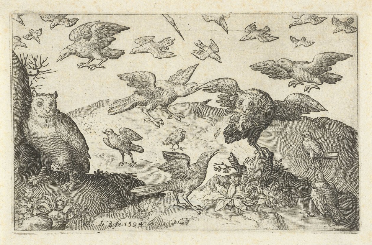 Diğer kuşlar tarafından avlanan baykuş Kuşlar ve böcekler (dizi adı) by Nicolaes de Bruyn