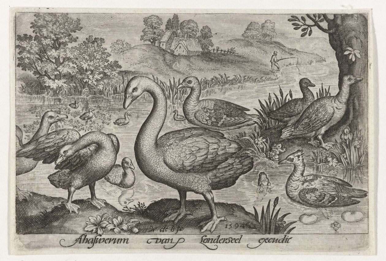 Su kenarında kuğu, kaz ve ördekler Kuşlar ve böcekler (dizi adı) by Nicolaes de Bruyn