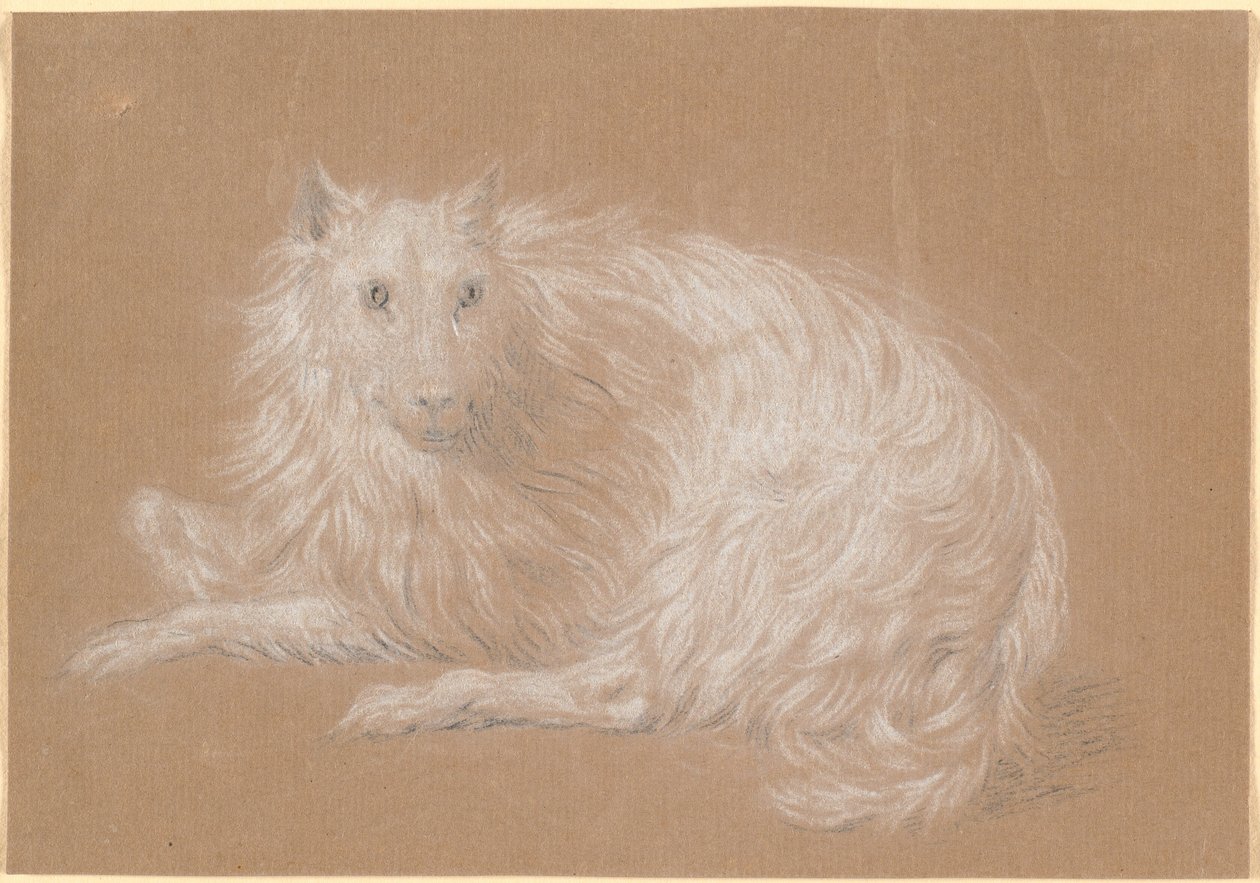 Yalan söyleyen uzun saçlı bir köpek by Nicolai Abildgaard