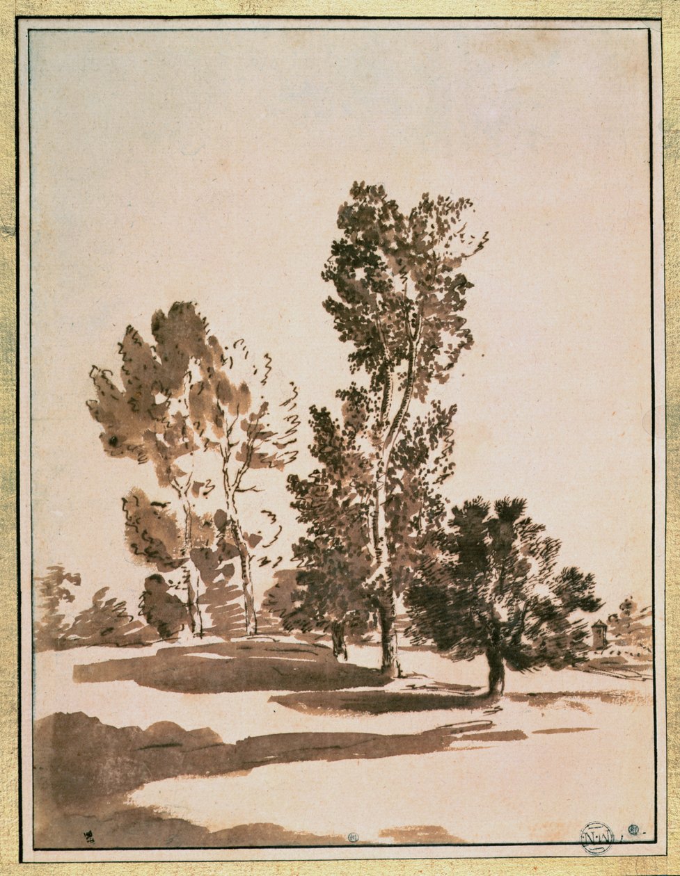 Ağaç Çalışması by Nicolas Poussin