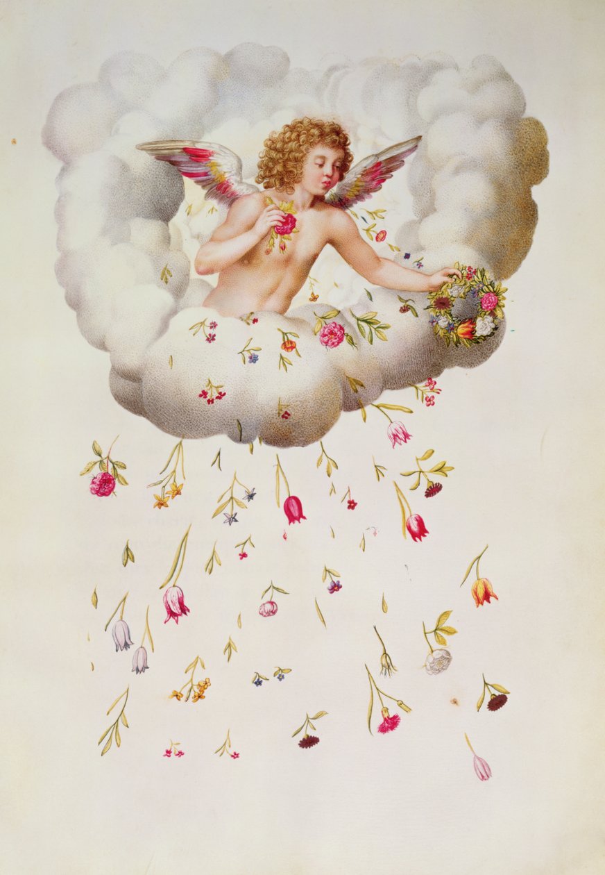 Zephyr, 