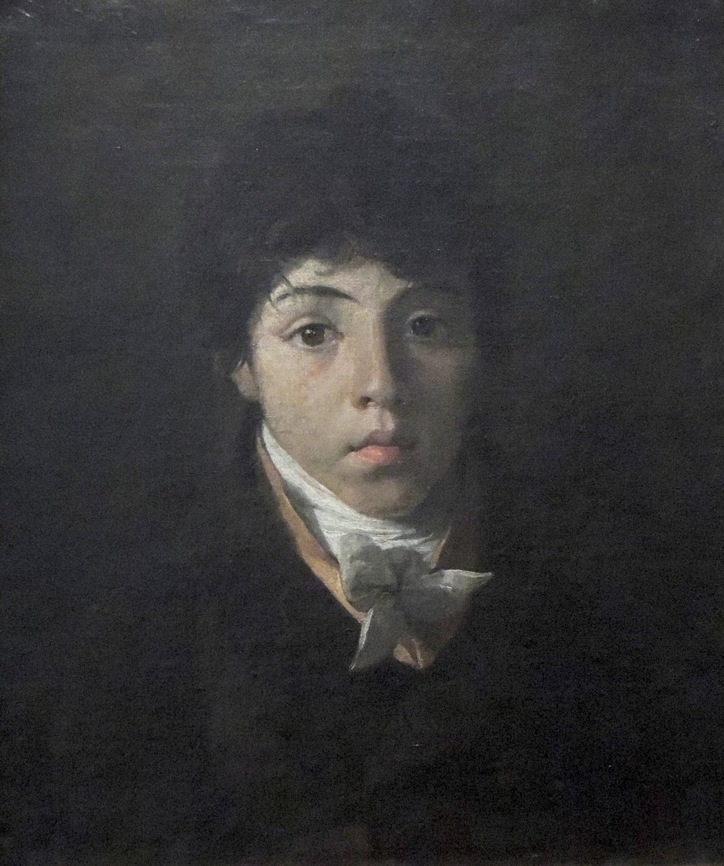 Portrait of the young Teodoro Taunay by Nicolas Antoine Taunay