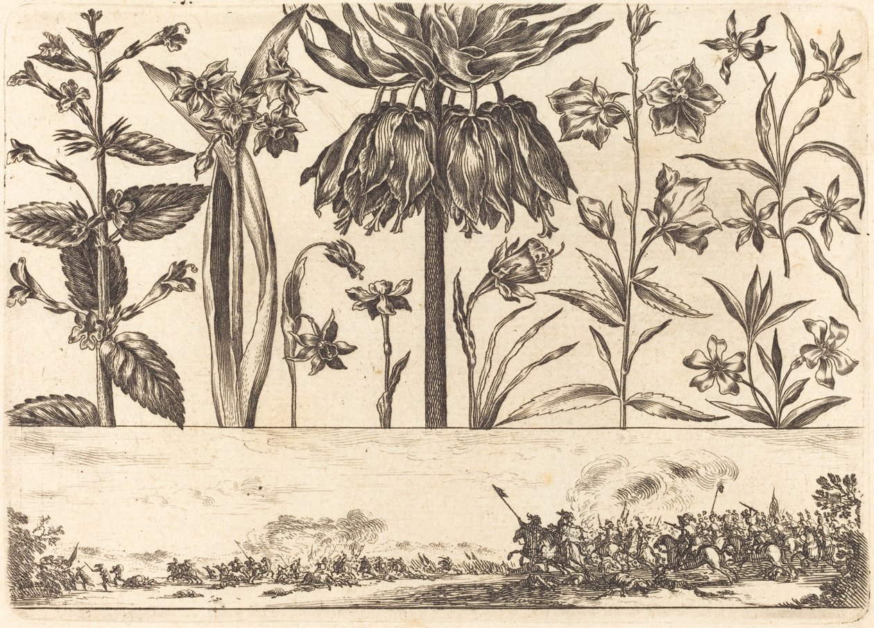 Çiçek Baskı no.10 by Nicolas Cochin after Balthasar Moncornet