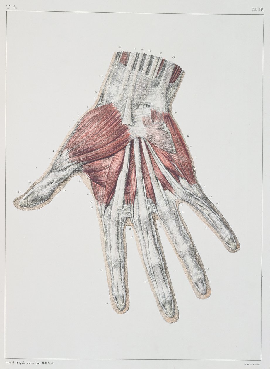 Elin kas sistemi, Jean-Baptiste Marc Bourgery