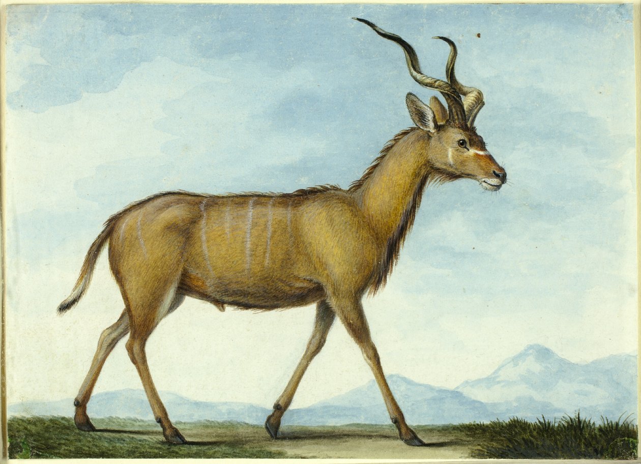 by Nicolas Hüet the Younger