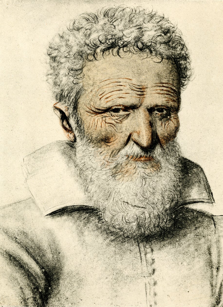 Yaşlı bir adamın portresi by Nicolas Lagneau or Lanneau