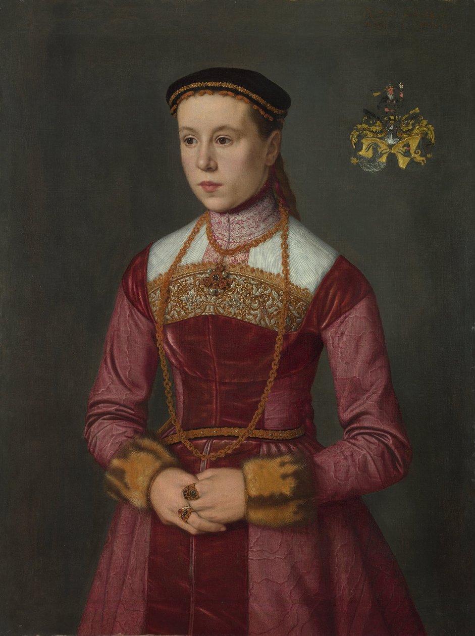 Genç Bir Hanımın Portresi, yaklaşık 1561 by Nicolas Neufchatel
