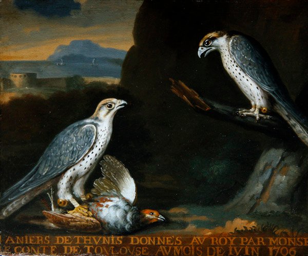 Biri kekliği tutan iki gyrfalcon (tuval üzerine yağlı boya) by Nicolas Spheyman