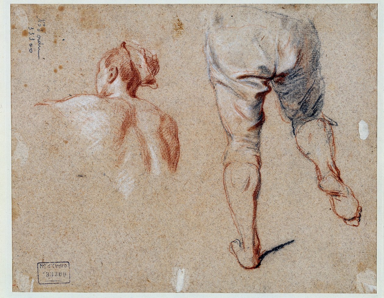 Anatomi çalışması Nicolas Vleughels (1668-1737) tarafından yapılan yağlı boya çizimi 18. yüzyıl Paris, Louvre Müzesi by Nicolas Vleughels