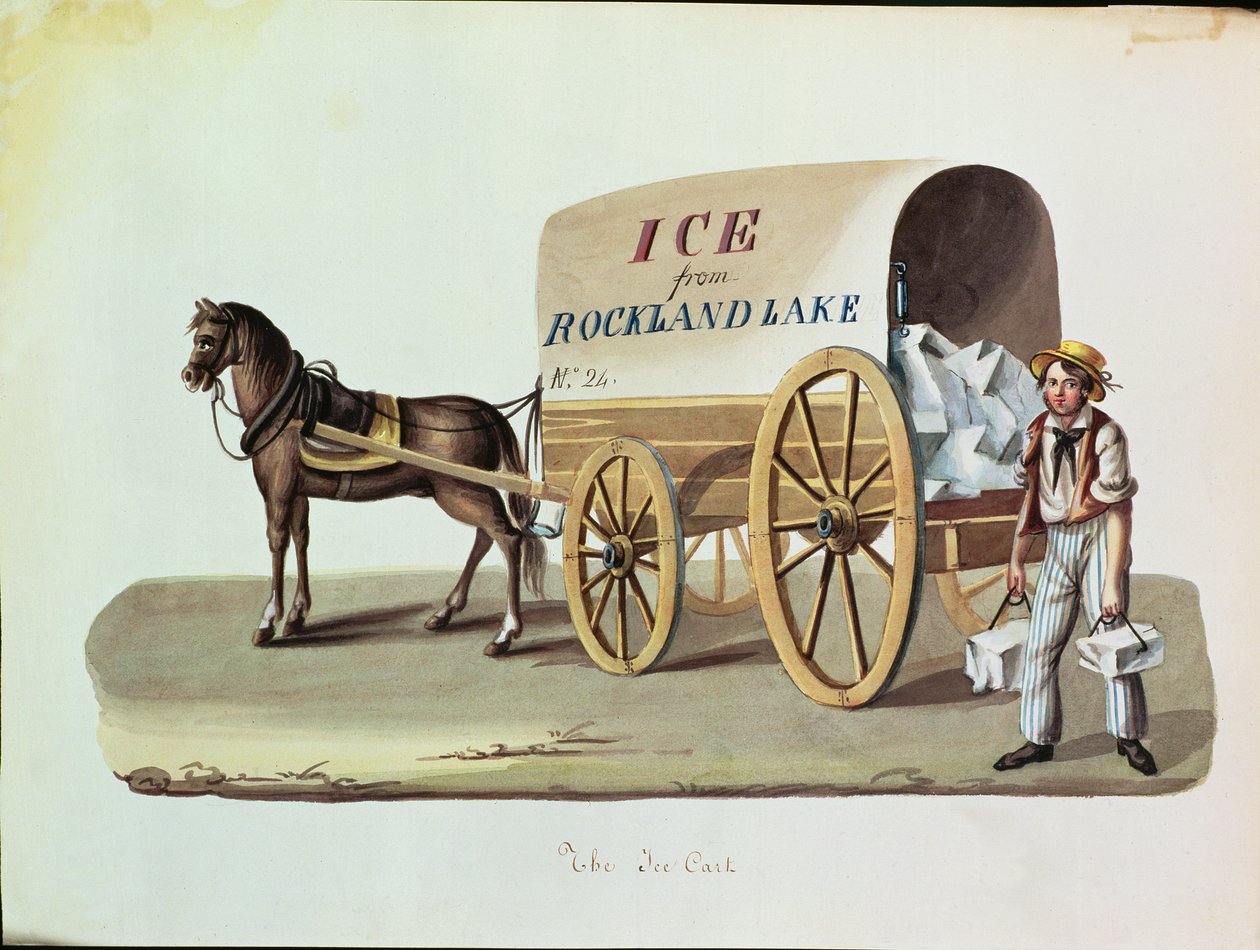 Buz Arabası, c.1840 by Nicolino Calyo