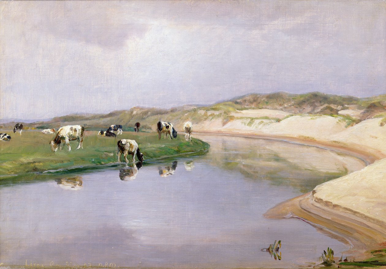 Karaciğer As, Kuzey Jutland