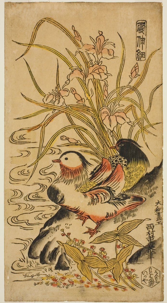 Mandarin Ördekleri, "Kashinsai" serisinden by Nishimura Shigenaga