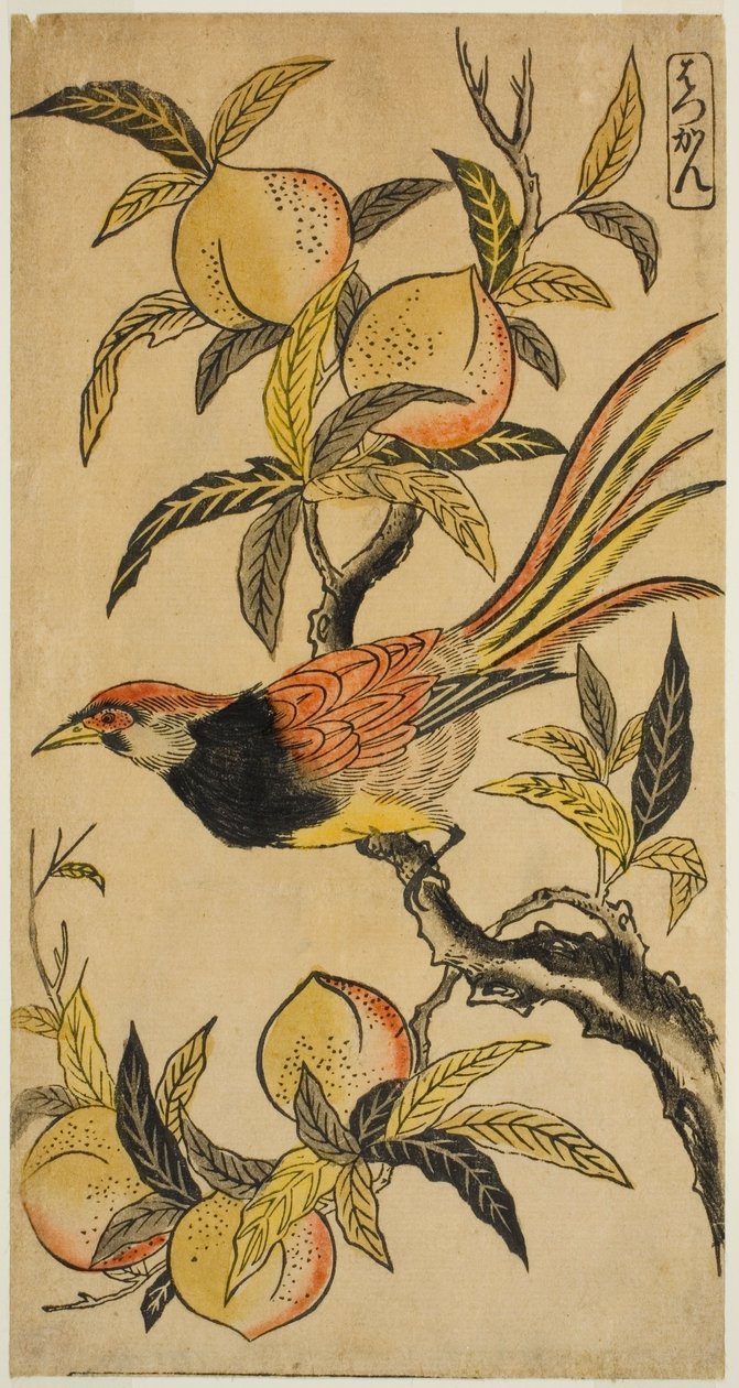 Gümüş Sülün (Hakkan) by Nishimura Shigenaga