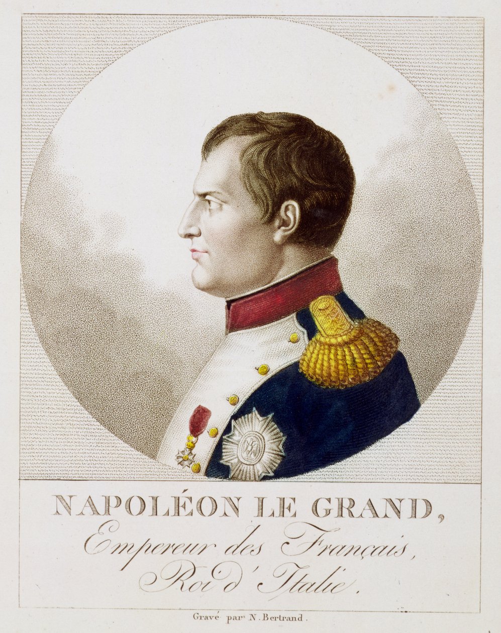 Napolyon portresi by Noel Francois Bertrand