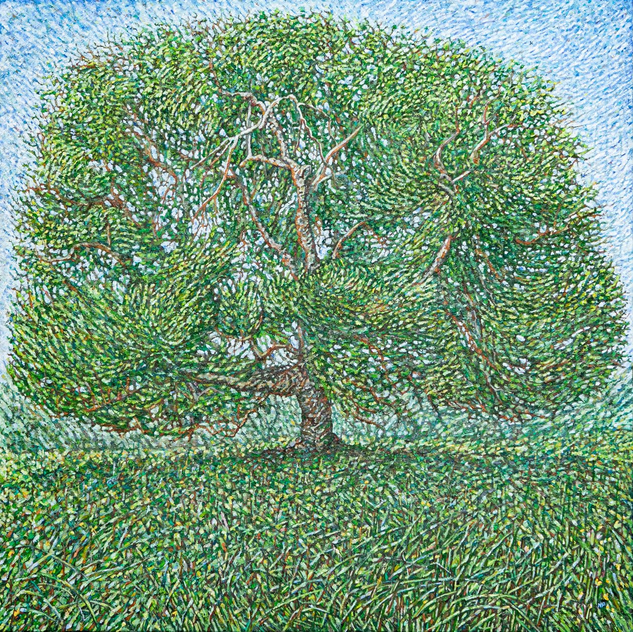  by Noel Paine