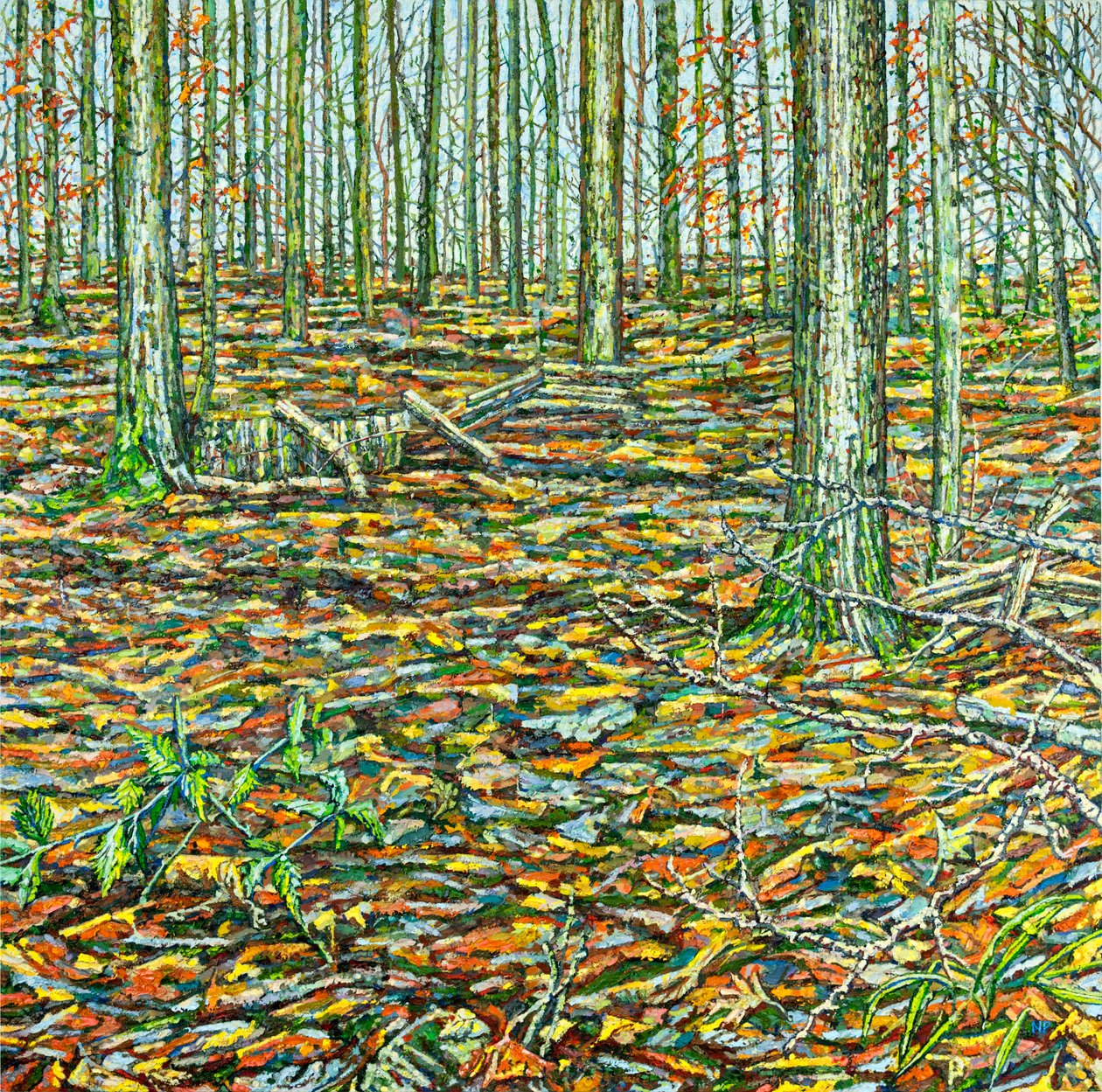 Orches Groundscape, 2023 (tuval üzerine yağlıboya) by Noel Paine