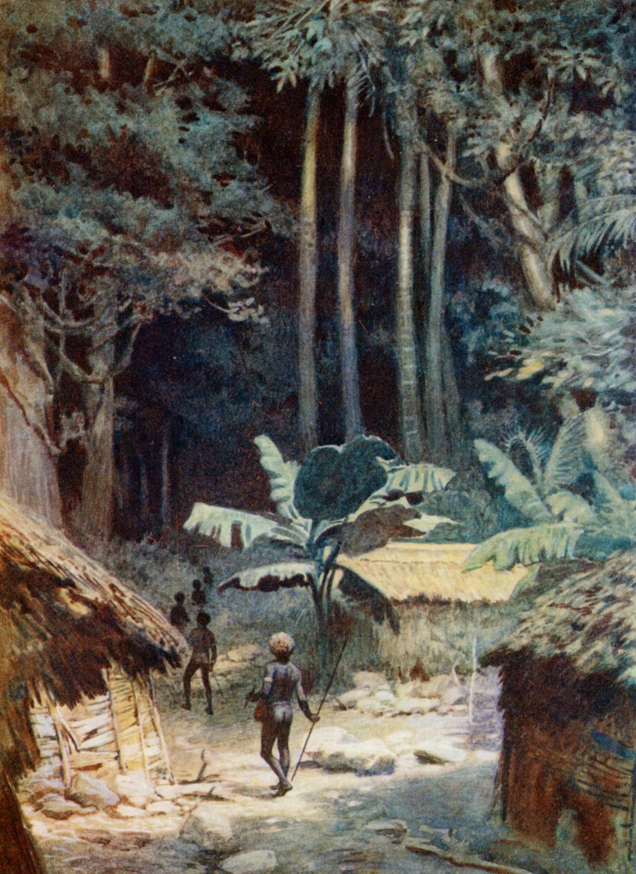 Bir Melanezya ormanının derinliklerinde, 1908 by Norman Hardy