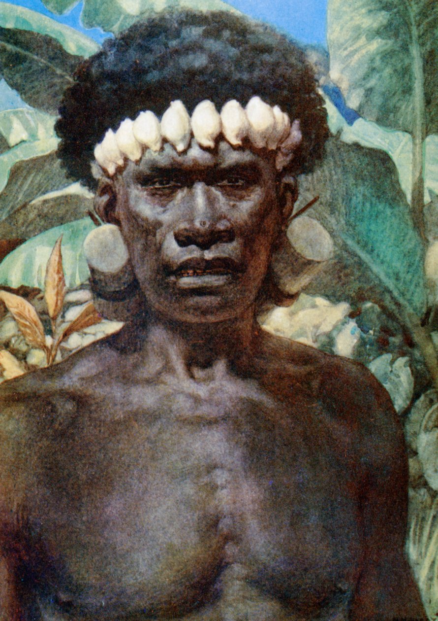 ಸೊಲೊಮನ್ ದ್ವೀಪದ ನರಭಕ್ಷಕನ ಭಾವಚಿತ್ರ. 1908 ಟರ್ಕಿ by Norman Hardy