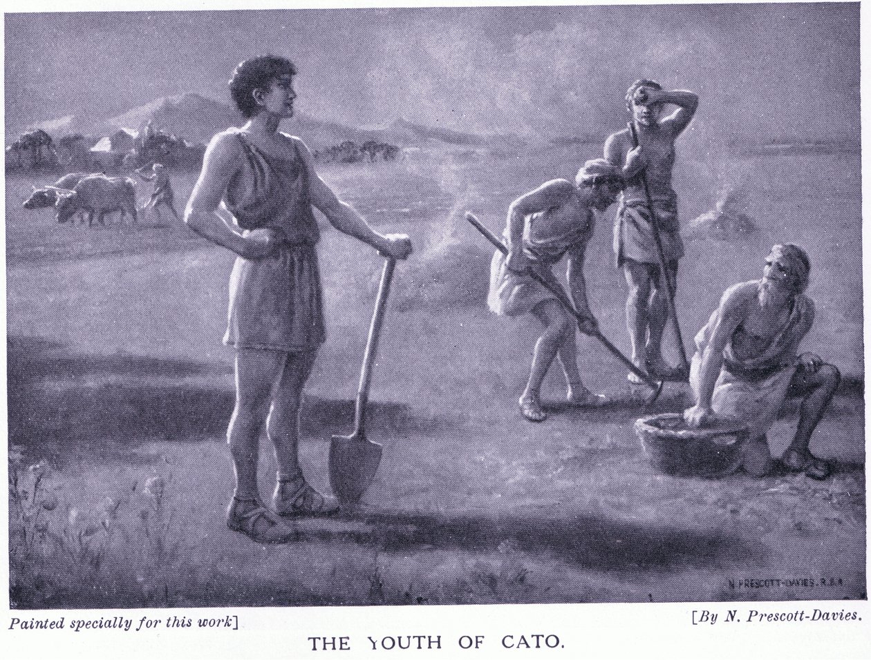 Cato