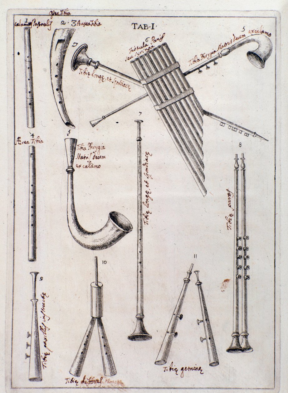 Francesco Bianchini
