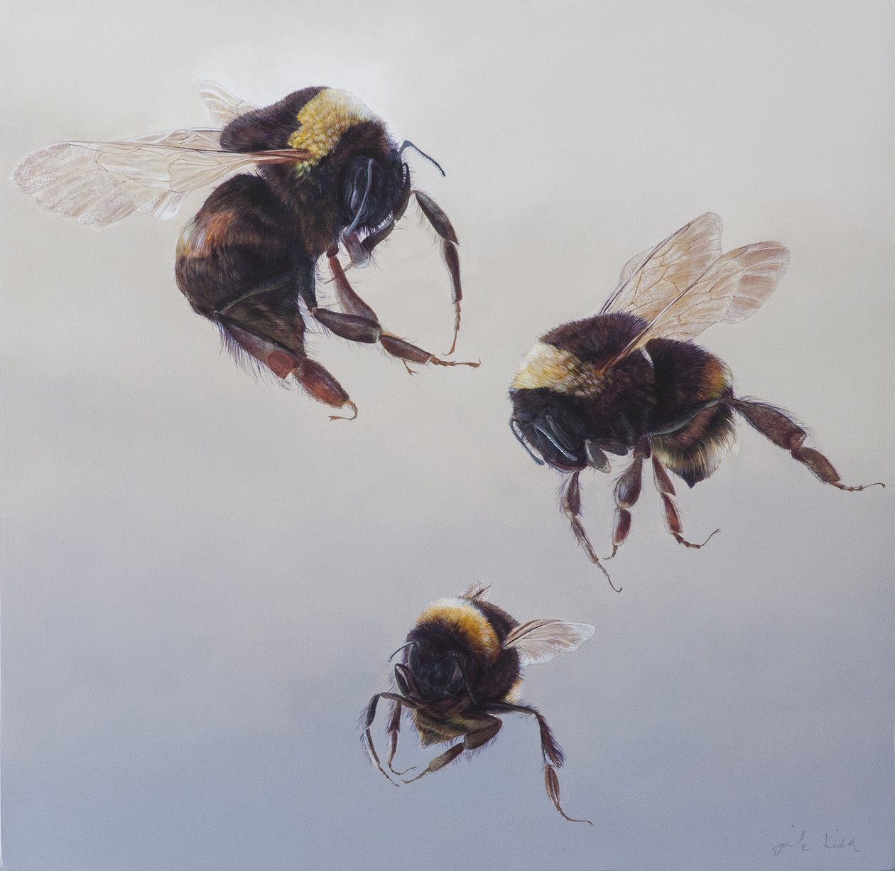  by Odile Kidd