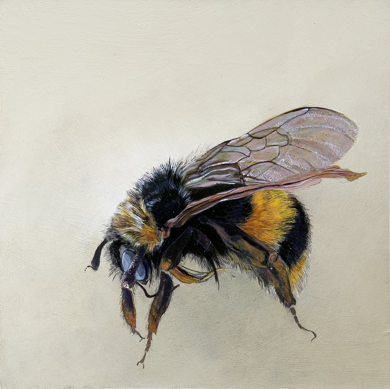  by Odile Kidd