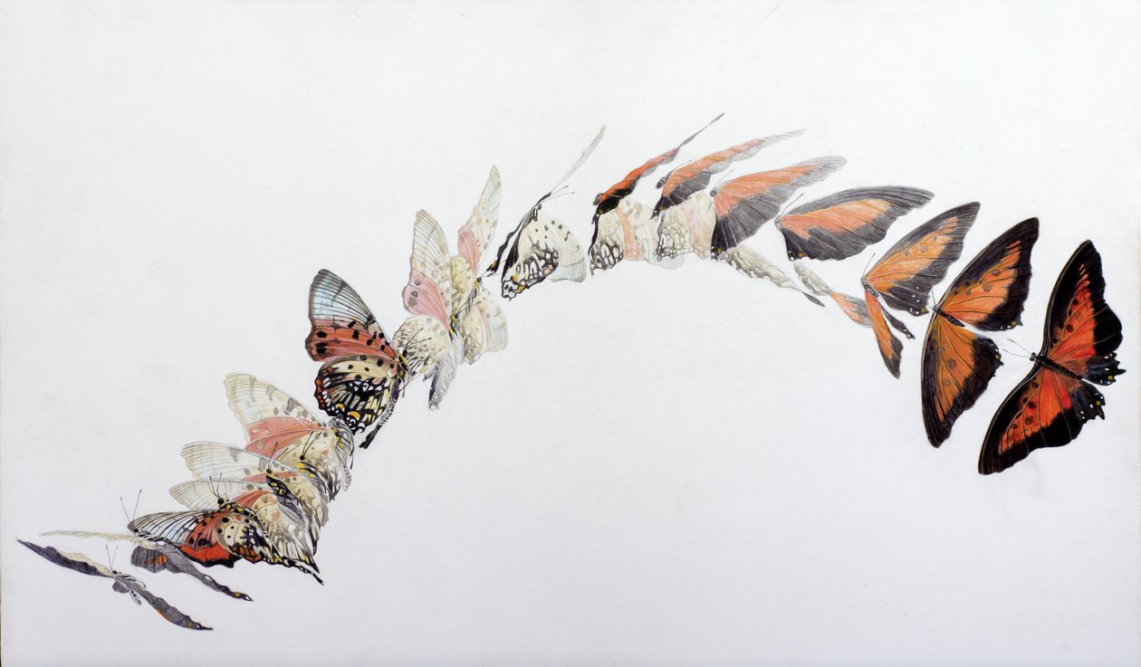  by Odile Kidd