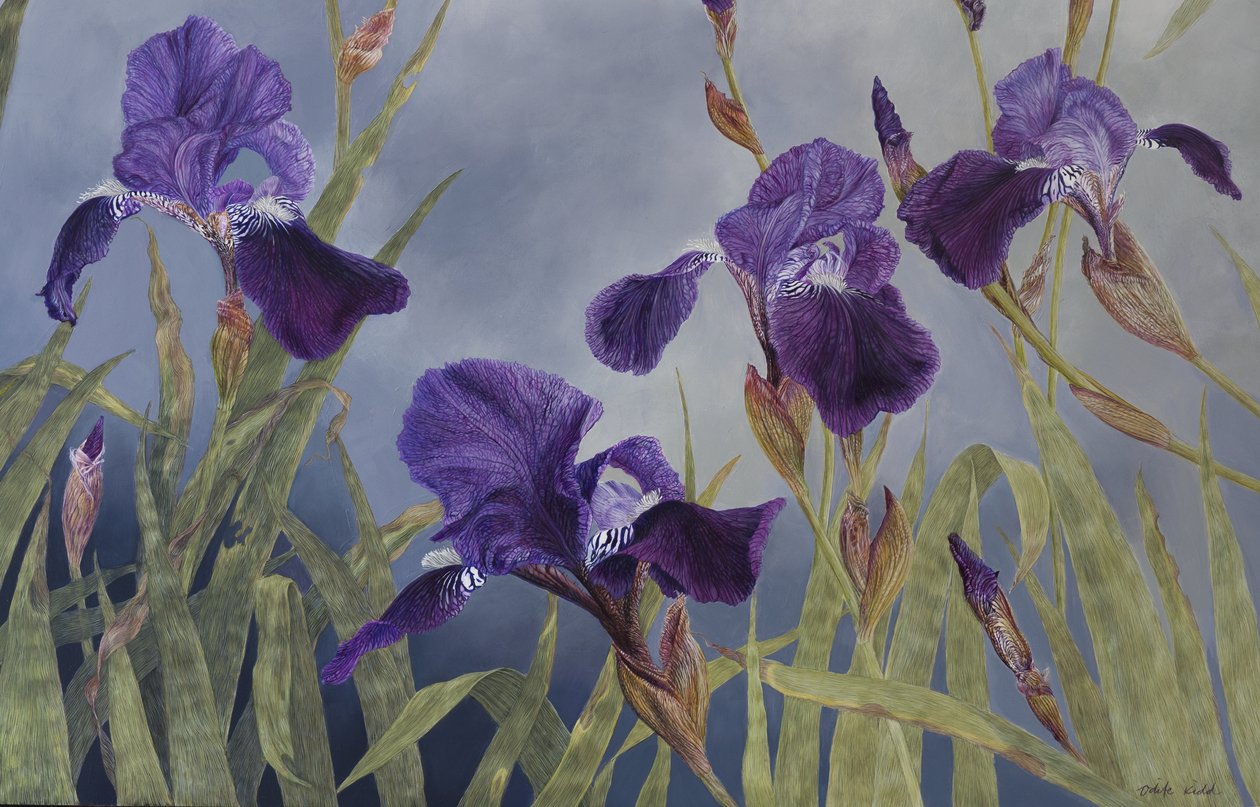  by Odile Kidd