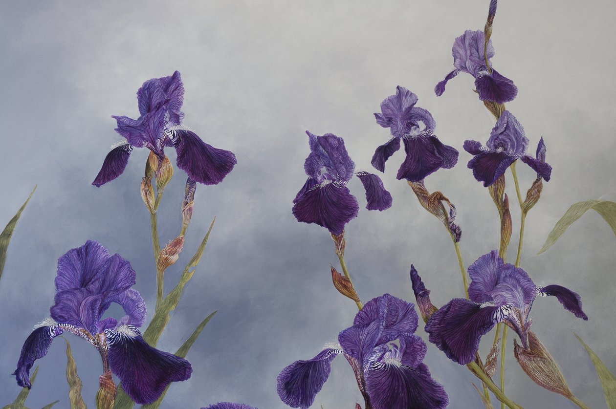  by Odile Kidd