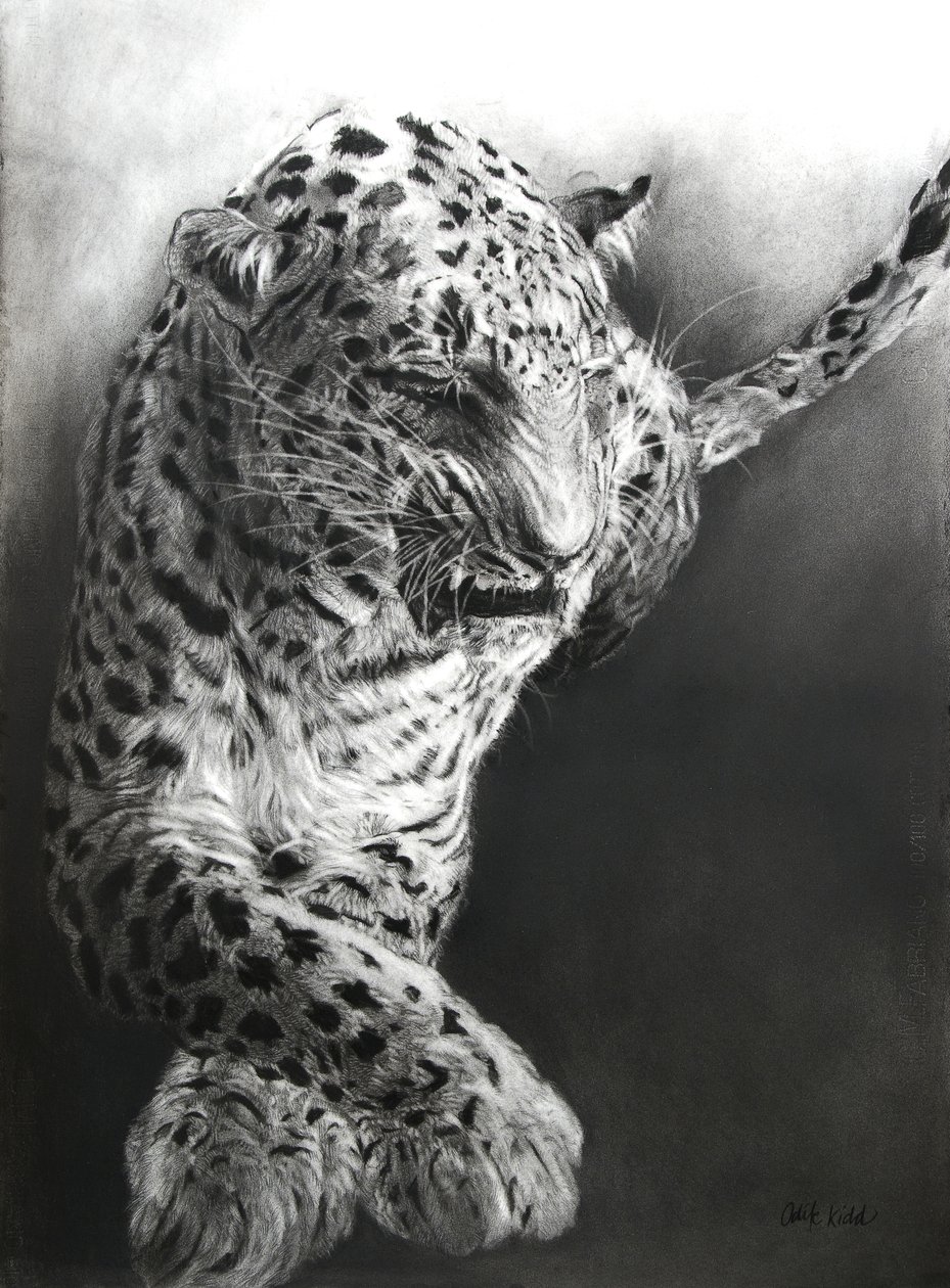  by Odile Kidd