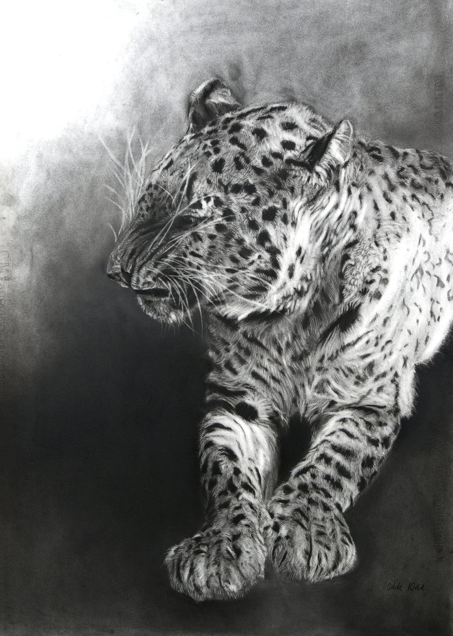  by Odile Kidd