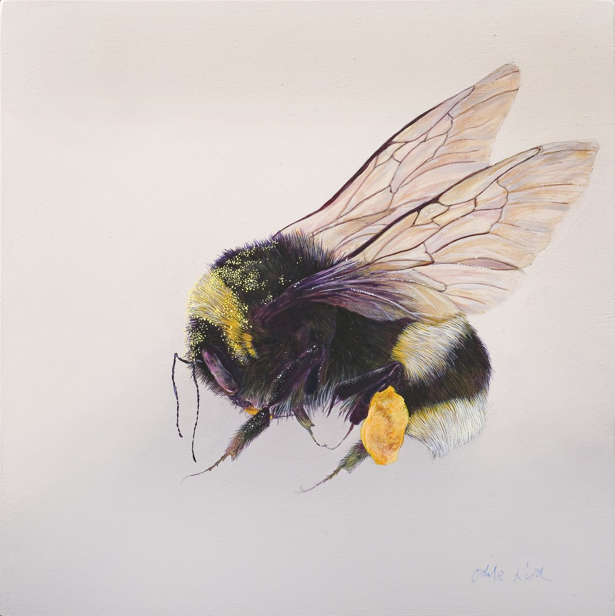 Polen kesesi 2, 2011 (ahşap üzerine akrilik) by Odile Kidd