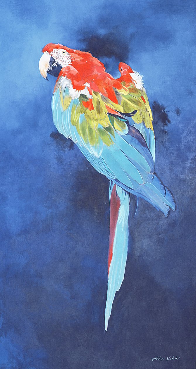 Kırmızı ve Mavi Macaw, 2002 (keten üzerine akrilik) by Odile Kidd