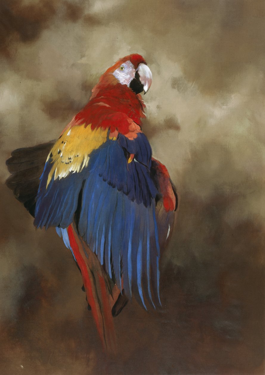 by Odile Kidd
